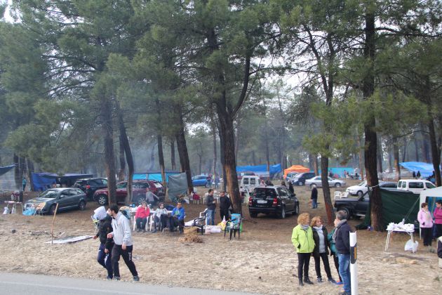 Ambiente en los pinares de Cuéllar Ambiente en los pinares de Cuéllar