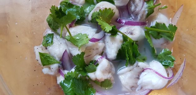 Cebiche de rap. Refrescant Cebiche de rap. Refrescant