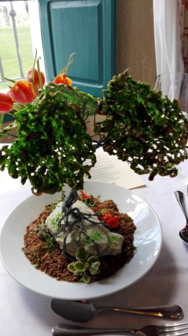 Árbol de tortillitas de camarones con plancton Árbol de tortillitas de camarones con plancton
