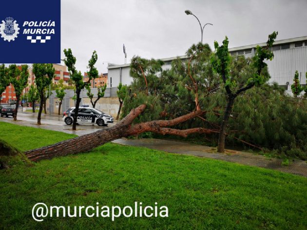 Un temporal de casi 500 incidencias en la Región Un temporal de casi 500 incidencias en la Región