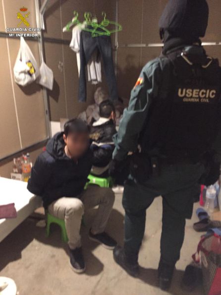 24 personas detenidas por tráfico de drogas y Trata de Seres Humanos en condiciones de exclavitud: Utilizaban 'esclavos' para cultivar droga a gran escala en varias provincias entre ellas Guadalajara 24 personas detenidas por tráfico de drogas y Trata de Seres Humanos en condiciones de exclavitud: Utilizaban 'esclavos' para cultivar droga a gran escala en varias provincias entre ellas Guadalajara