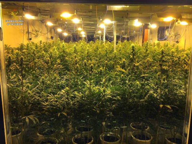 24 personas detenidas por tráfico de drogas y Trata de Seres Humanos en condiciones de exclavitud: Utilizaban 'esclavos' para cultivar droga a gran escala en varias provincias entre ellas Guadalajara 24 personas detenidas por tráfico de drogas y Trata de Seres Humanos en condiciones de exclavitud: Utilizaban 'esclavos' para cultivar droga a gran escala en varias provincias entre ellas Guadalajara