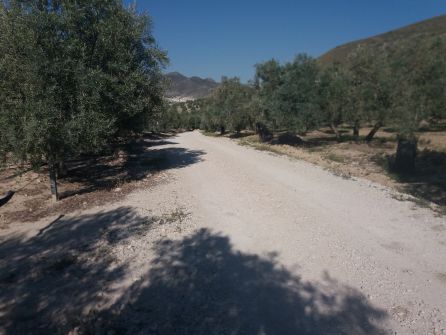 Otro de los tramos en los que se va a actuar Otro de los tramos en los que se va a actuar