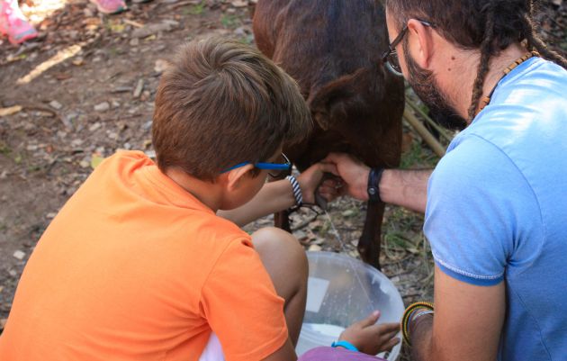 El programa incluye actividades como ordenar cabras. El programa incluye actividades como ordenar cabras.