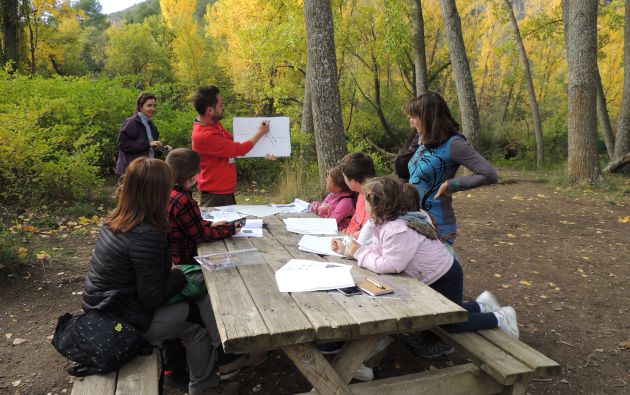 Los talleres se realizan en plena naturaleza. Los talleres se realizan en plena naturaleza.