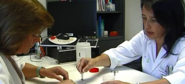 La Academia Europea de Alergia e Inmunología premia un estudio sobre veneno de heminópteros coordinado por la jefa de Alergología del Hospital de Guadalajara: Premiado un estudio sobre la picadura de avispas coordinado por la jefa de Alergología del Hospital de Guadalajara La Academia Europea de Alergia e Inmunología premia un estudio sobre veneno de heminópteros coordinado por la jefa de Alergología del Hospital de Guadalajara: Premiado un estudio sobre la picadura de avispas coordinado por la jefa de Alergología del Hospital de Guadalajara