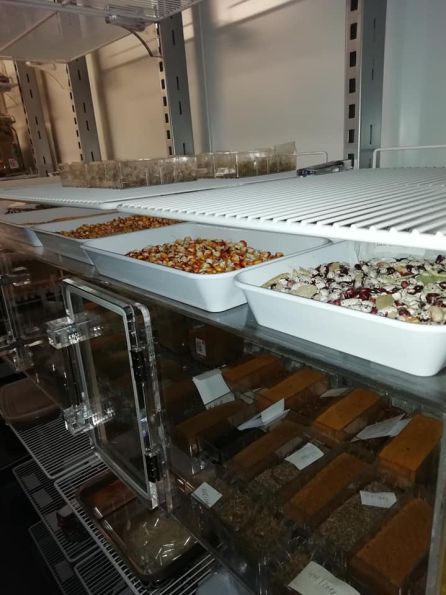 La Red de Semillas de Euskadi conserva casi 2.000 variedades tradicionales vascas La Red de Semillas de Euskadi conserva casi 2.000 variedades tradicionales vascas