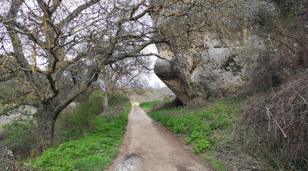 El camino hasta la cueva del Moro discurre junto al río Huécar. El camino hasta la cueva del Moro discurre junto al río Huécar.