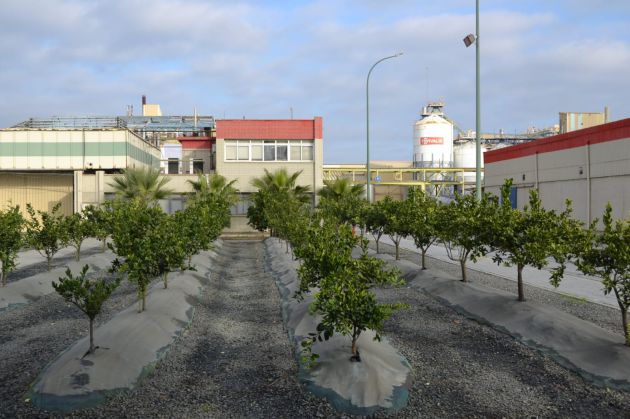 Instalaciones de la planta en Huelva Instalaciones de la planta en Huelva