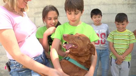 Para terminar que mejor que conocer a uno de los perros que ya han sido adoptados Para terminar que mejor que conocer a uno de los perros que ya han sido adoptados