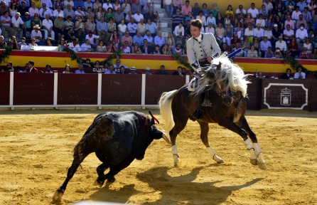 La tauromaquia contra el cáncer en Villacarrillo La tauromaquia contra el cáncer en Villacarrillo