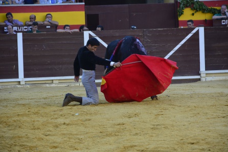 La tauromaquia contra el cáncer en Villacarrillo La tauromaquia contra el cáncer en Villacarrillo