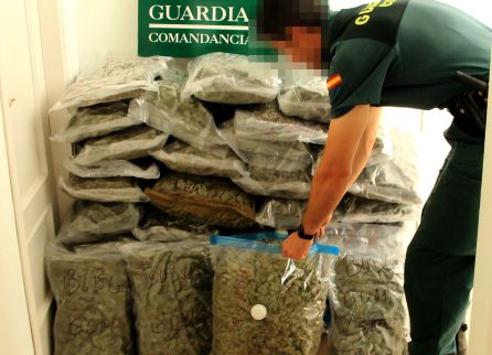 Marihuana encontrada por la Guardia Civil. Marihuana encontrada por la Guardia Civil.