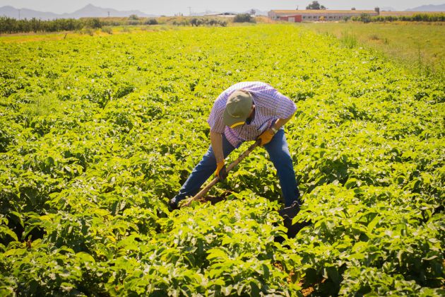 Los últimos pastores trashumantes piden que se mantengan las vías pecuarias Los últimos pastores trashumantes piden que se mantengan las vías pecuarias
