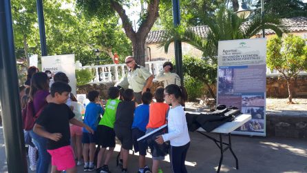Varios escolares atienden las explicaciones de los técnicos del proyecto de reintroducción del quebrantahuesos. Varios escolares atienden las explicaciones de los técnicos del proyecto de reintroducción del quebrantahuesos.
