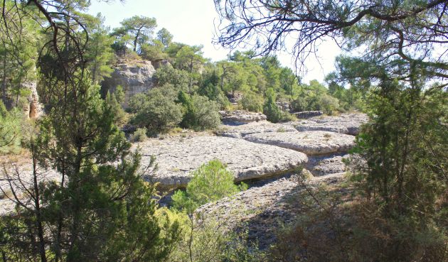 Este paraje se esconde entre los pinos de la Serranía de Cuenca. Este paraje se esconde entre los pinos de la Serranía de Cuenca.