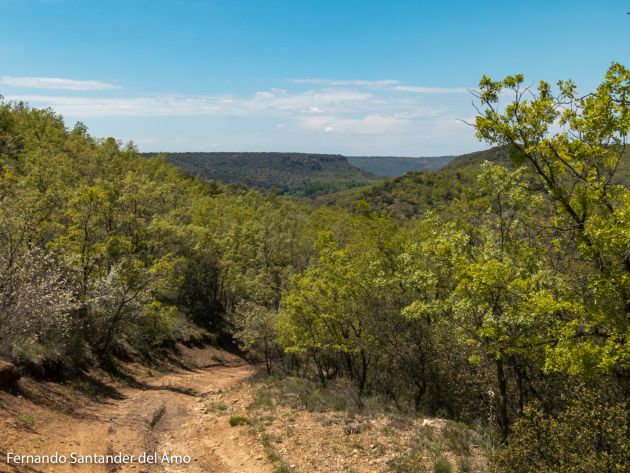Turismo naturaleza: Una ruta en bici por las parameras de Sigüenza: Una ruta en bici por las parameras de Sigüenza Turismo naturaleza: Una ruta en bici por las parameras de Sigüenza: Una ruta en bici por las parameras de Sigüenza