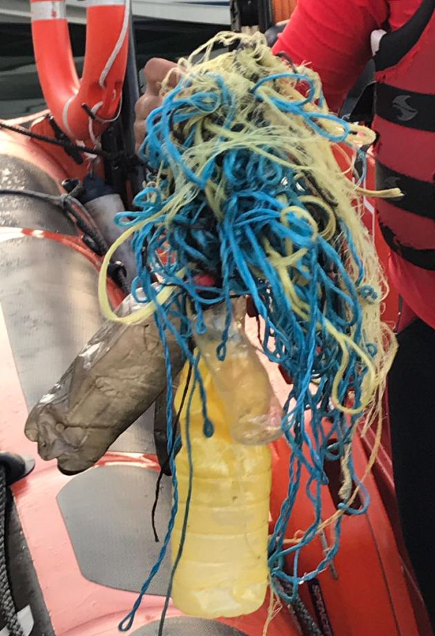Liberan a una tortuga marina que había quedado atrapada en un arte de pesca abandonado Liberan a una tortuga marina que había quedado atrapada en un arte de pesca abandonado