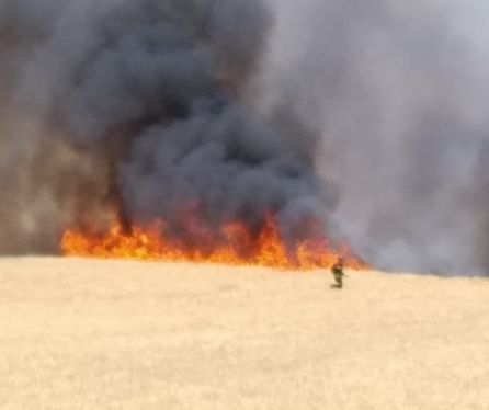 Tres carreteras de Ávila resultan afectadas por el humo de un incendio Tres carreteras de Ávila resultan afectadas por el humo de un incendio