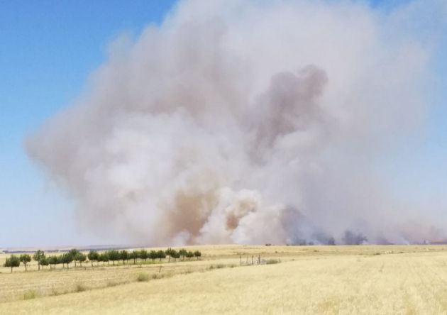 Tres carreteras de Ávila resultan afectadas por el humo de un incendio Tres carreteras de Ávila resultan afectadas por el humo de un incendio