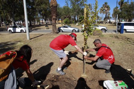 La Fundación Cepsa se une a "Los locos del parque" La Fundación Cepsa se une a "Los locos del parque"