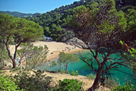 Cala Pola, Tossa de Mar Cala Pola, Tossa de Mar