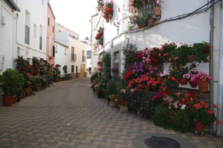 Calles de Chiclana de Segura. Calles de Chiclana de Segura.