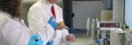 El profesor Gaforio en el transcurso de uno de sus trabajos El profesor Gaforio en el transcurso de uno de sus trabajos