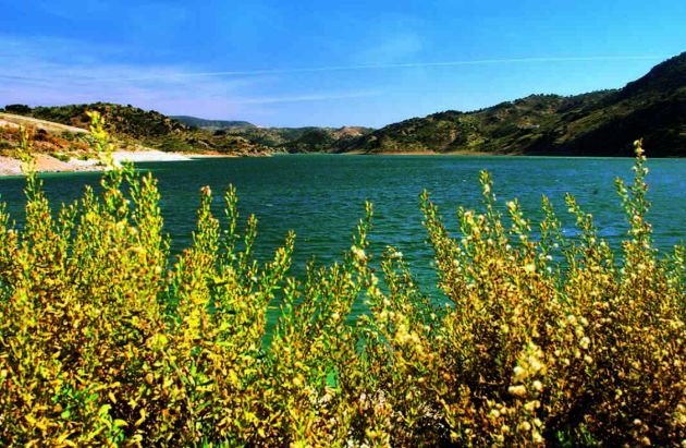 Osuna, la joya barroca de la provincia Osuna, la joya barroca de la provincia