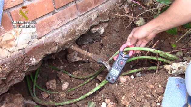 La Guardia Civil desmantela una plantación de marihuana en una vivienda de Loranca de Tajuña (Guadalajara): Desmantelada una plantación de marihuana en Loranca de Tajuña La Guardia Civil desmantela una plantación de marihuana en una vivienda de Loranca de Tajuña (Guadalajara): Desmantelada una plantación de marihuana en Loranca de Tajuña