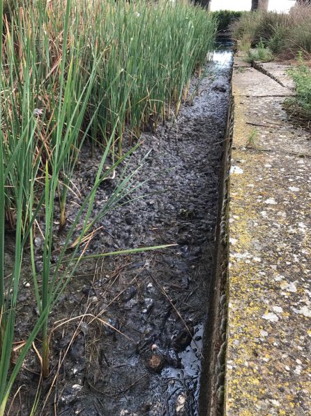 Río Valdeginate tomada en el término municipal de Baquerín de Campos Río Valdeginate tomada en el término municipal de Baquerín de Campos