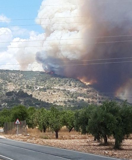 Desalojado casi medio centenar de personas a causa del incendio en un paraje forestal en Beneixama Desalojado casi medio centenar de personas a causa del incendio en un paraje forestal en Beneixama