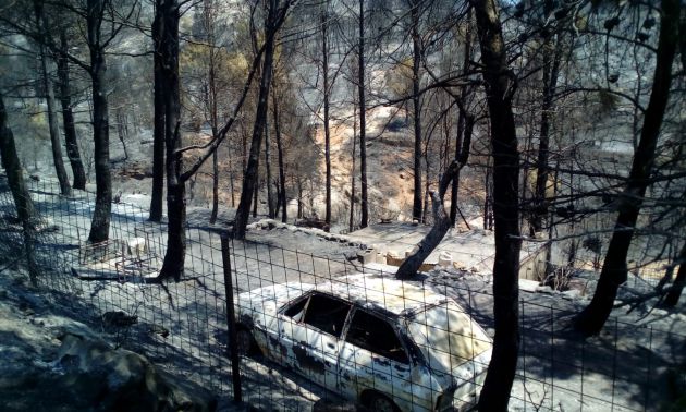 Estabilizado el incendio de Beneixama, que podría haber sido intencionado Estabilizado el incendio de Beneixama, que podría haber sido intencionado