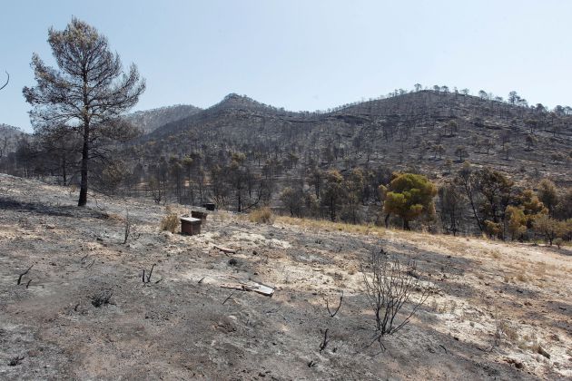 El incendio forestal de pinar con más de 80 desalojados en Beneixama ya no presenta llamas en ningún punto de las 900 hectáreas afectadas El incendio forestal de pinar con más de 80 desalojados en Beneixama ya no presenta llamas en ningún punto de las 900 hectáreas afectadas