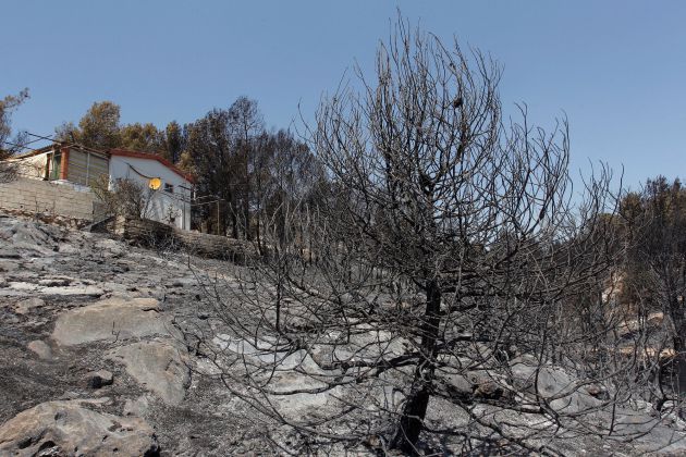 El incendio forestal de pinar con más de 80 desalojados en Beneixama ya no presenta llamas en ningún punto de las 900 hectáreas afectadas El incendio forestal de pinar con más de 80 desalojados en Beneixama ya no presenta llamas en ningún punto de las 900 hectáreas afectadas
