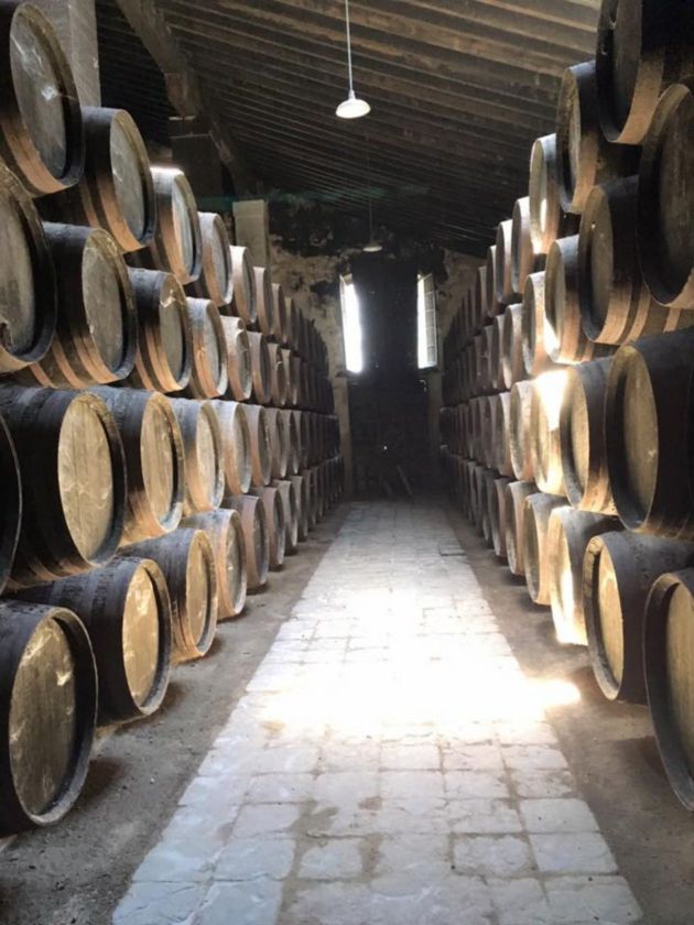 Uno de los encantadores rincones de las bodegas Emilio Hidalgo Uno de los encantadores rincones de las bodegas Emilio Hidalgo