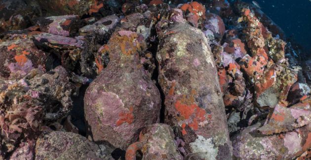 Ánforas en el pecio Cabrera XIV, localizado en aguas de la isla de Cabrera, en Balerares, en 2016. Ánforas en el pecio Cabrera XIV, localizado en aguas de la isla de Cabrera, en Balerares, en 2016.