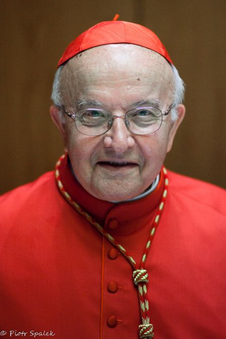 El cardenal José Manuel Estepa El cardenal José Manuel Estepa