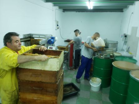 Procesado de la miel Procesado de la miel