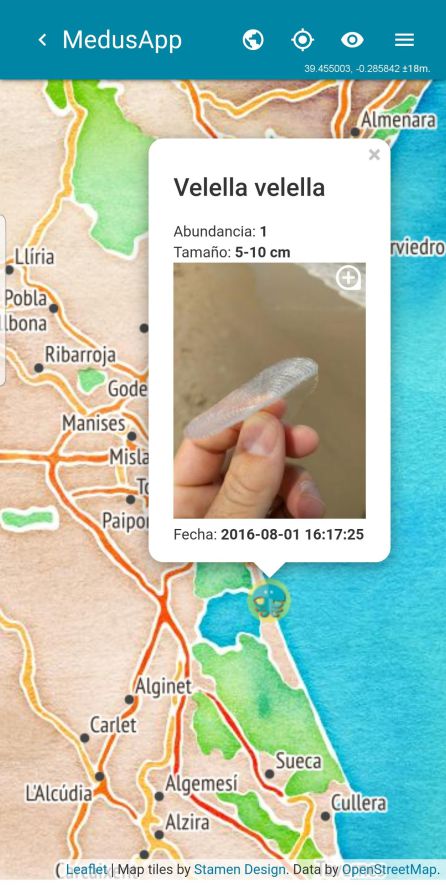 La última versión de Medusapp ofrece más información sobre las medusas en las playas La última versión de Medusapp ofrece más información sobre las medusas en las playas