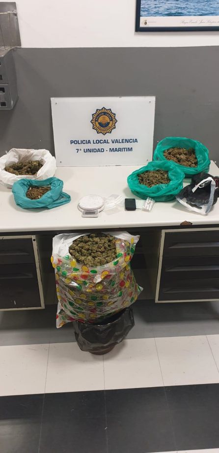 La Policía Local desarticula una plantación de marihuana en la Malva-rosa La Policía Local desarticula una plantación de marihuana en la Malva-rosa