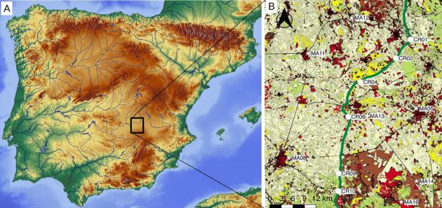Tramo de la Cañada Real Conquense o de los Serranos donde se ha realizado la investigación. Tramo de la Cañada Real Conquense o de los Serranos donde se ha realizado la investigación.