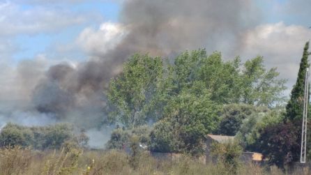 Un incendio se queda en la pedanía de Dehesas a dos metros de una vivienda Un incendio se queda en la pedanía de Dehesas a dos metros de una vivienda