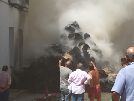 Aparatoso incendio en plena calle en Constantina Aparatoso incendio en plena calle en Constantina