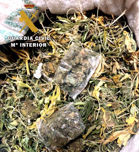 Marihuana incautada por la Guardia Civil. Marihuana incautada por la Guardia Civil.