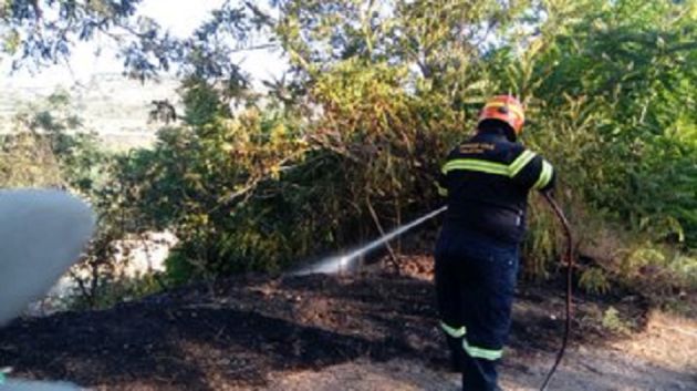Controlado el incendio declarado ayer por la tarde en Brihuega (Guadalajara): Controlado el incendio declarado ayer por la tarde en Brihuega Controlado el incendio declarado ayer por la tarde en Brihuega (Guadalajara): Controlado el incendio declarado ayer por la tarde en Brihuega