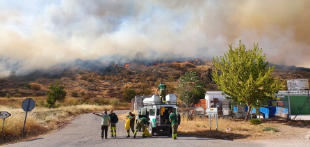 La llamas se quedaron a escasos metros de un almacén de materiales de construcción y frente a otro de botellas de gas butano La llamas se quedaron a escasos metros de un almacén de materiales de construcción y frente a otro de botellas de gas butano
