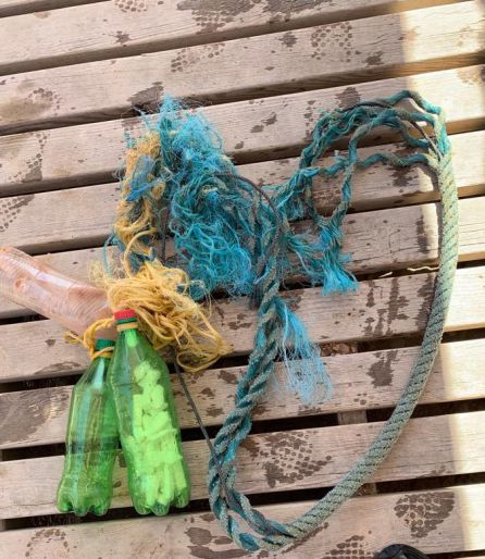 Elementos que la tortuga tenía enredados. Elementos que la tortuga tenía enredados.