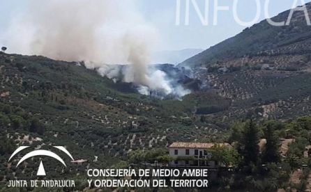 El fuego provocó una enorme cicatriz en esta bella zona natural El fuego provocó una enorme cicatriz en esta bella zona natural