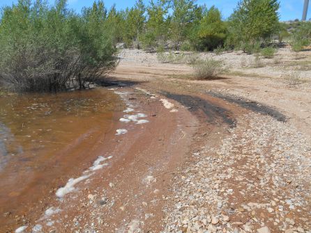 Ciudadanos muestra su preocupación por el aumento de espuma en el pantano de Bárcena Ciudadanos muestra su preocupación por el aumento de espuma en el pantano de Bárcena